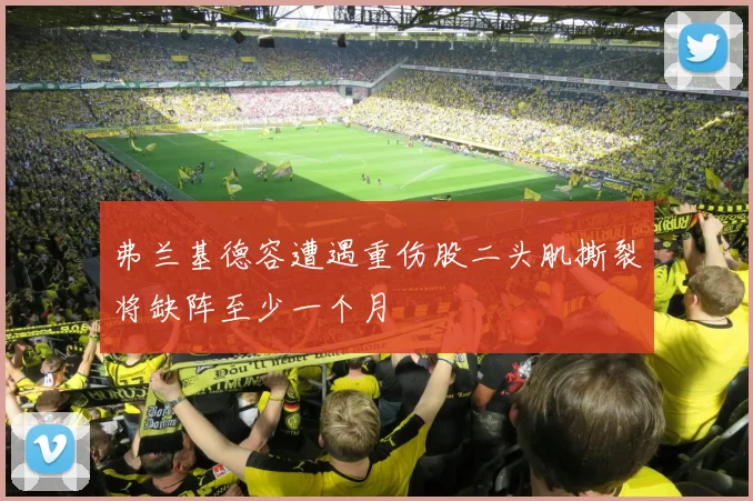 弗兰基德容遭遇重伤股二头肌撕裂将缺阵至少一个月