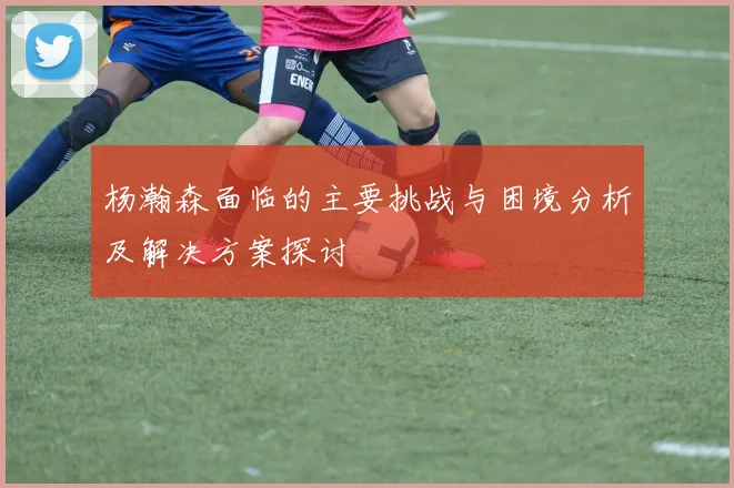 杨瀚森面临的主要挑战与困境分析及解决方案探讨