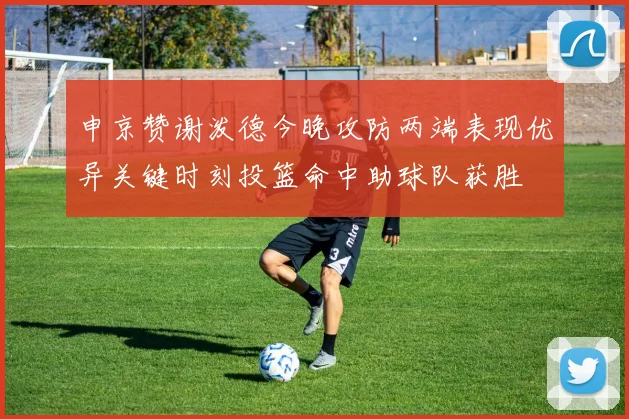 申京赞谢泼德今晚攻防两端表现优异关键时刻投篮命中助球队获胜