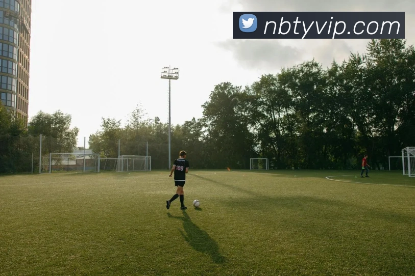 牛八体育发展历程